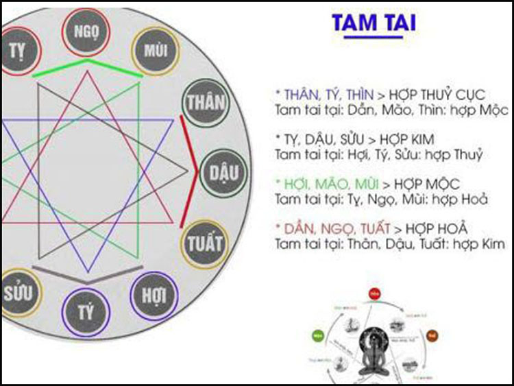 xem-tuoi-lam-nha02