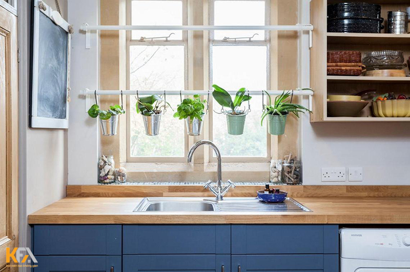Trang trí bếp chung cư bằng cây xanh