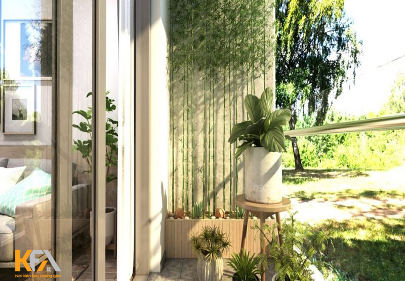 Ánh sáng và ánh nắng quá nhiều cũng không tốt