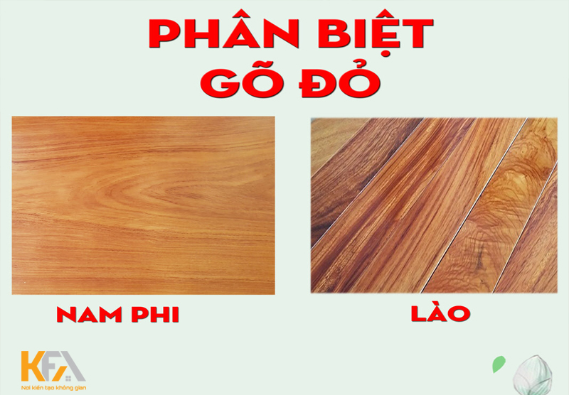 Phân loại gỗ