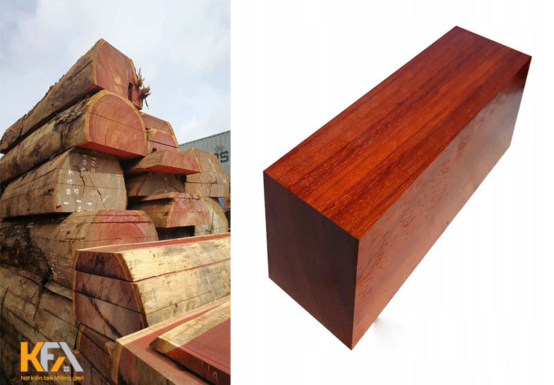 Gỗ hương là gì? Đặc điểm và cách phân biệt gỗ hương trên thị trường Gỗ hương là gì? Đặc điểm và cách phân biệt gỗ hương trên thị trường