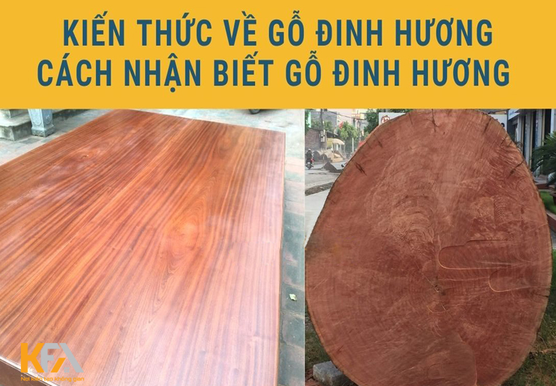 Gỗ đinh hương sẽ có màu vàng đỏ, hương thơm nhẹ nhàng và thoang thoảng Gỗ đinh hương sẽ có màu vàng đỏ, hương thơm nhẹ nhàng và thoang thoảng