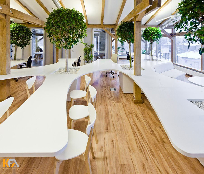 Thiết kế văn phòng xanh (Eco)